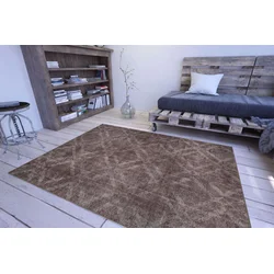 Conceptum Hypnose Tepih Dorian -AL 32, 230x330 cm, Braon