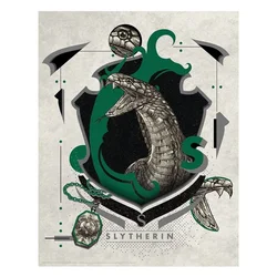 Harry Potter Umjetnička Štampana Slika: Slytherin