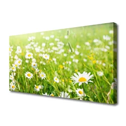 tulup.si Slika na platnu Daisy travnik narava 125x50 cm
