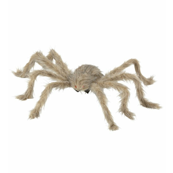 BELA TARANTULA