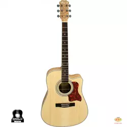 IvanS guitar AD-70C NT