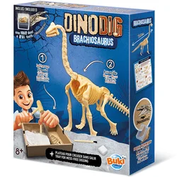 Iskopaj dinosaurusa Brachiosaurus Buki 105961
