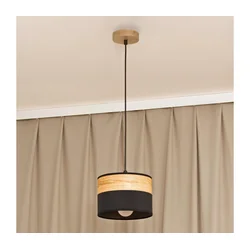 Luster na sajli ALBA 1xE27/15W/230V prečnik 20 cm crna/braon