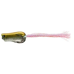 STEEZ CHIQUITA FROG SW (17512-502)