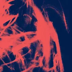 Rival Consoles - Landscape From Memory (2 LP)