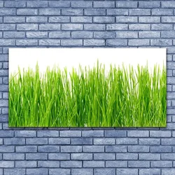 tulup.si Slika na steklu Grass nature rastlin 140x70 cm 2 obešalnika