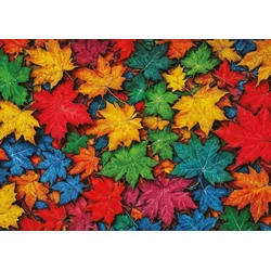 Art puzzle - Puzzle Pisani listi - 1 000 kosov
