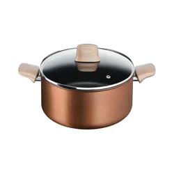 Tefal - Lonec s pokrovom RESPECT, premer 24 cm
