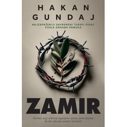 Zamir