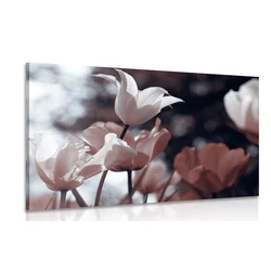 Slika spomladanski tulipani v parku - 30x20