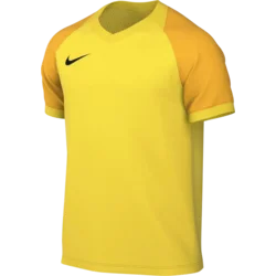 Nike Dres Dri-FIT Trophy VI