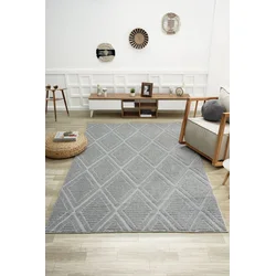 Conceptum Hypnose Tepih 0742B, Pravougaoni, 160 x 230 cm, Sivi