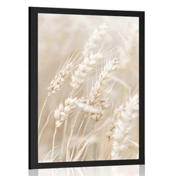 Plakat stebla pšenice - 20x30 silver