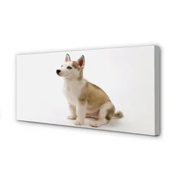 tulup.si Slika na platnu Sedenje majhen pes 120x60 cm