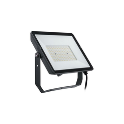 Philips - LED spoljašnji reflektor PROJECTLINE LED/100W/230V IP65 3000K