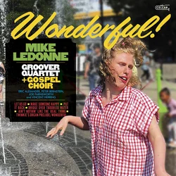 Mike LeDonne Groover Quartet - Wonderful! (LP)