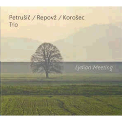 PETRUŠIČ/REPOVŽ/KOROŠEC TRIO