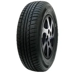 Minerva Polar Ice 1 ( 185/70 R14 88T )