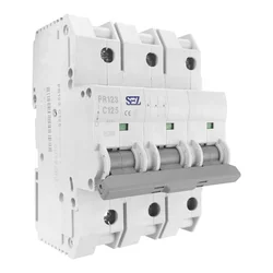 shumee Varovalka C125A 3P 10kA eska PR123 SEZ 6571