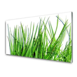 tulup.si Steklena slika Grass on wall 100x50 cm 4 obešalnika