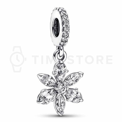 Pandora Obesek Timeless 792382C01