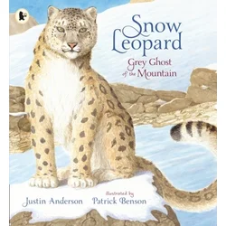Snow Leopard: Grey Ghost of the Mountain