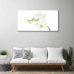 tulup.si Slika na steklu Orhideje narava 100x50 cm 4 obešalnika