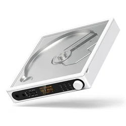 FiiO DM15 R2R - Bijela