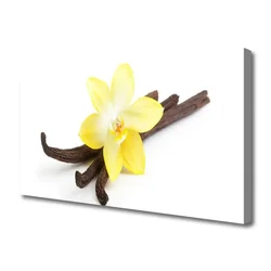 tulup.si Slika na platnu Vanilla rastlin narava 100x50 cm