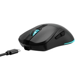 Baracuda BGM 121 Turtle Wireless Mouse Black