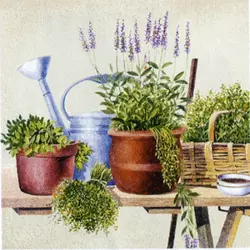 Serviete za decoupage Potting Herbs - 1 kos