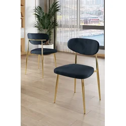 HANAH HOME Set stolica (4 komada) Vina Anthracite Gold