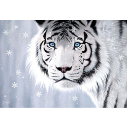 AnaTolian - Puzzle Crystal Eyes - 500 kosov