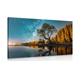 Slika drevesa pod zvezdnatim nebom - 90x60