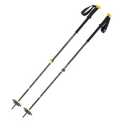 Pohodne palice EXPEDITION 2 Black Diamond