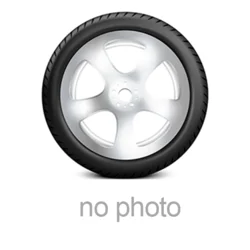 Landspider Eurotraxx H/P ( 195/55 R15 85V )