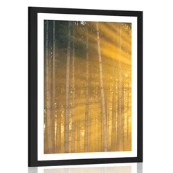 Plakat s paspartujem sonce za drevesi - 30x45 black
