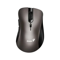 GENIUS Ergo 8100S Champagne titanium USB Bežični miš