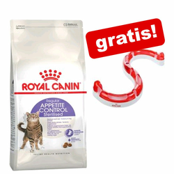 Royal Canin Adult Persian 10 kg