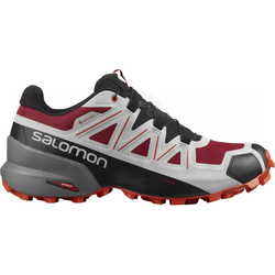 Tenisice za trail Salomon SPEEDCROSS 5 GTX