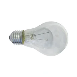 ELIT Vagonska sijalica A60 24V 100W E27