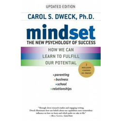 Mindset