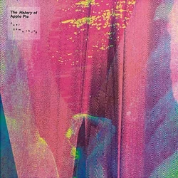 History Of Apple Pie - Feel Something (LP)