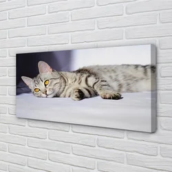 tulup.si Slika na platnu Leži mačka 120x60 cm