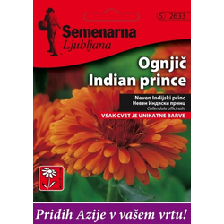 SEMENA CVETOČIH RASTLIN SEMENARNA CALENDULA OFF. INDIAN PRINCE M.V. AZIJA 2633