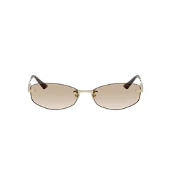 Jimmy Choo Naočare za sunce JC 4013D 300611