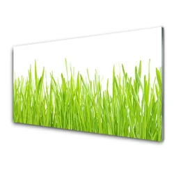 tulup.si Slika na steklu Grass nature rastlin 120x60 cm 2 obešalnika