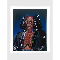 Nychos Dissection of Darth Vader Fine Art Print multicolor