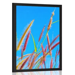 Plakat divja trava pod modrim nebom - 60x90 black