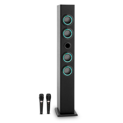 ONECONCEPT bluetooth karaoke zvočnik TALLBOY, črn